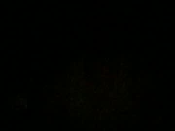Average_Dude!, live webcam girl, age 37, from GB, streaming now