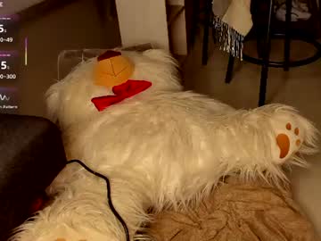 ❤️ REVEN ❤️, live webcam girl, from CO, streaming now, redhead, bigtits
