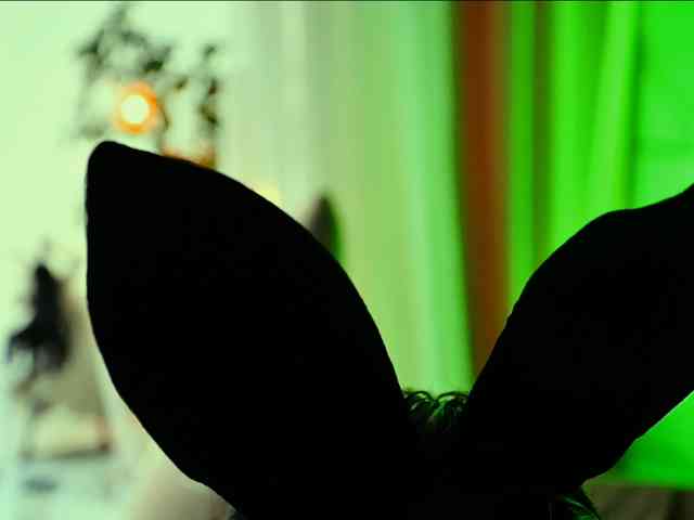 -ANN, live webcam girl, age 20, streaming now, camshow, chatten
