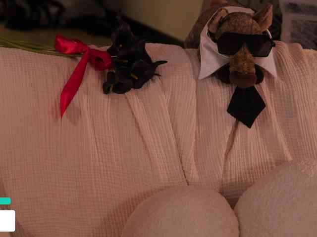 Taanni, live webcam girl, age 19, from UA, streaming now, pijpbeurt, kontneuken