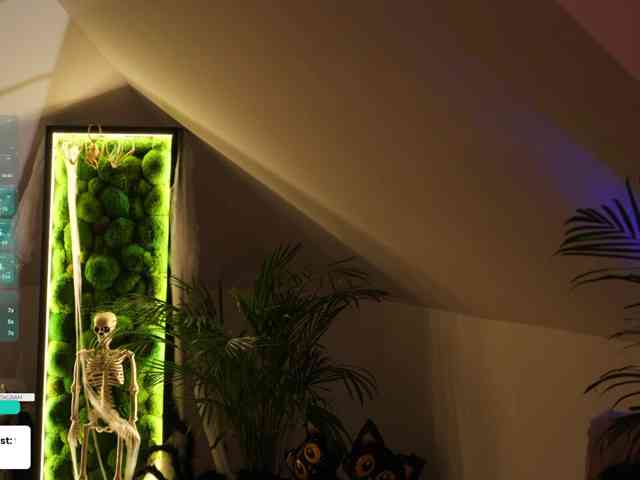 Taanni, live webcam girl, age 19, from UA, streaming now, pijpbeurt, kontneuken