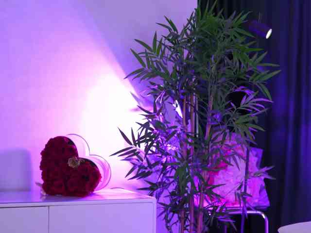 ArtTeasee, live webcam girl, age 25, streaming now, pijpbeurt, zaadming