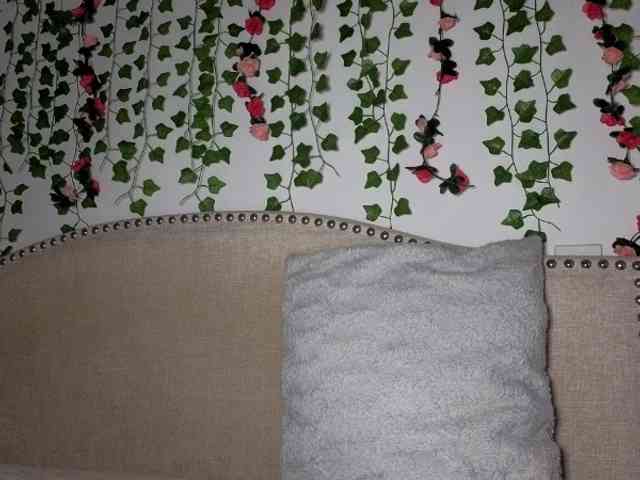Xoxcat, live webcam girl, age 19, from US, streaming now, kontvingeren, zaad binnen