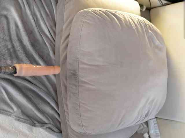 IMNOTSHYBABY, live webcam girl, age 20, from UNITED STATES, streaming now, chatten, zaadming